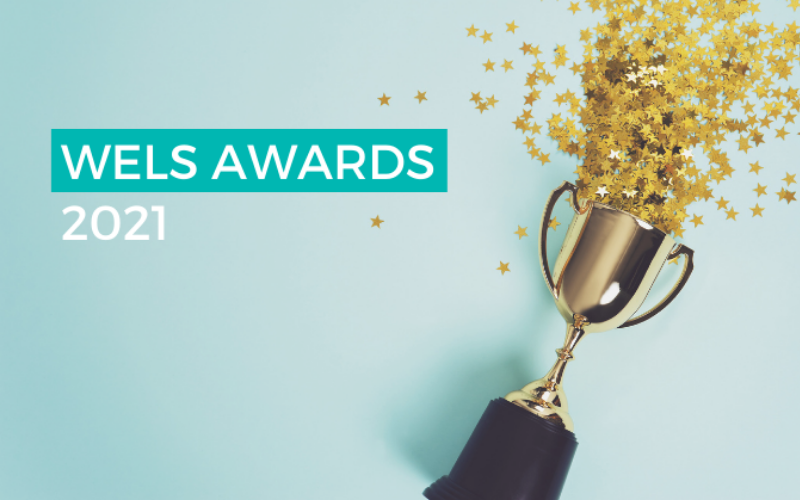 Photograph of a trophy on its side, spilling star confetti on to a clean, blue background. The text "WELS AWARDS 2021" is overlaid on top of the image.