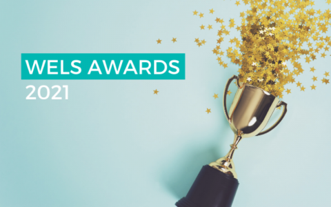 Photograph of a trophy on its side, spilling star confetti on to a clean, blue background. The text "WELS AWARDS 2021" is overlaid on top of the image.