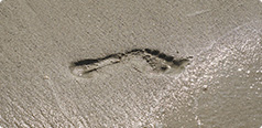 Footprint in the sand