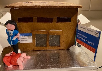 Anna's gingerbread hospital from the OU's 2021 Bake Your Research competition.