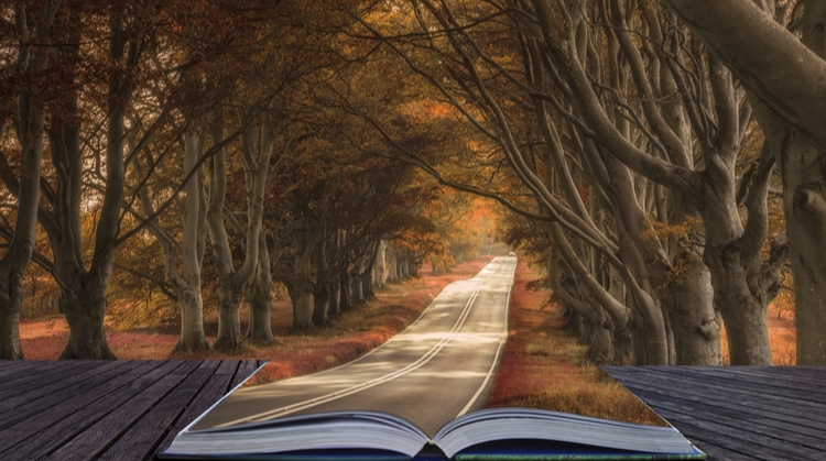 image of an open book with a forest escaping out of it