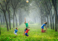 Children playing with a ball among trees