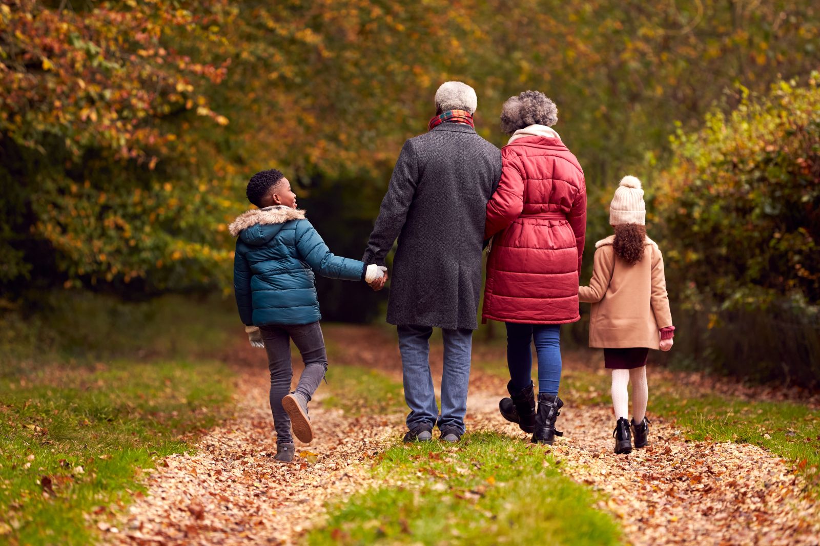 Rear view of grandparents holding hands with grandchildren on walk through autumn countryside