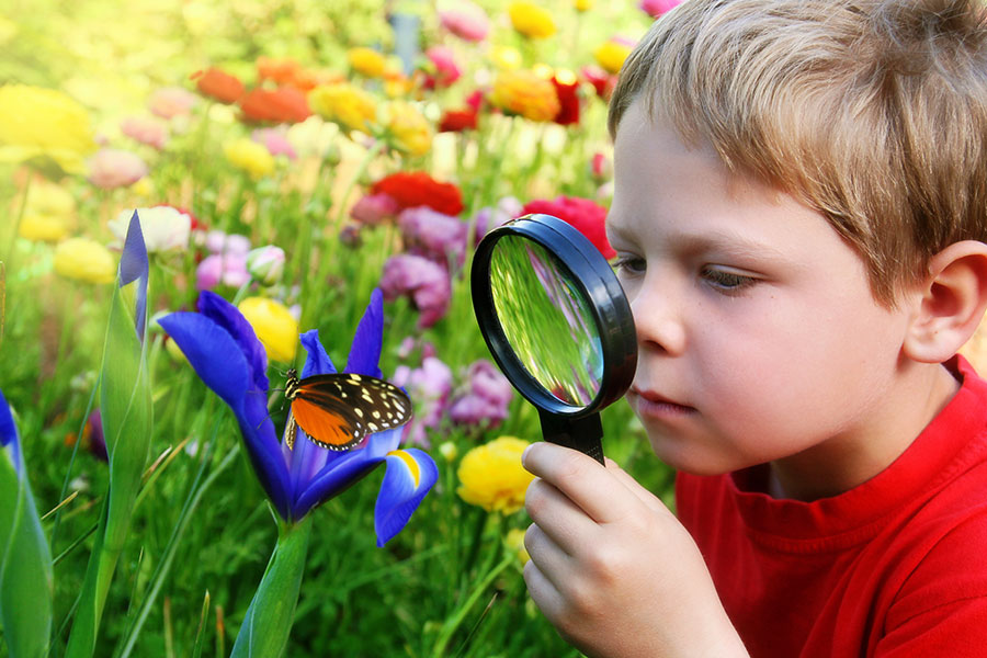 Boy looking at a butterfly. 