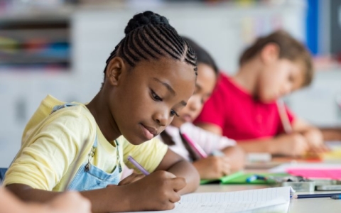 Student girl writing during a primary school class
