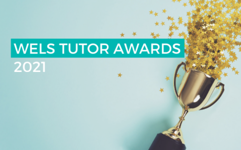Photograph of a trophy on its side, spilling star confetti on to a clean, blue background. The text "WELS TUTOR AWARDS 2021" is overlaid on top of the image.